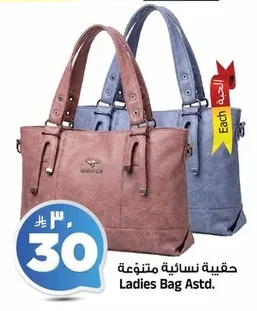 Ladies Bag Astd.