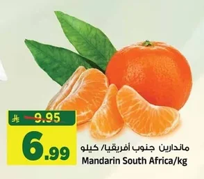 ماندارين جنوب أفريقيا