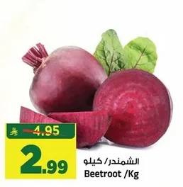 شمندر