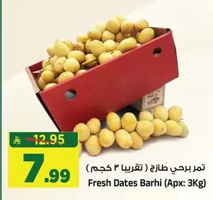 تمر برحي طازج