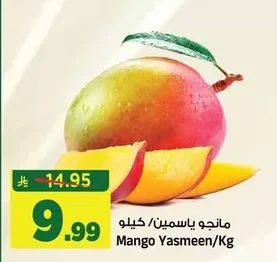 مانجو ياسمين
