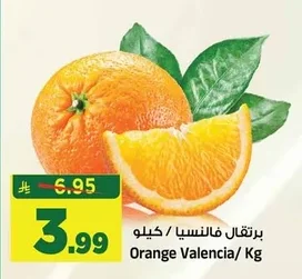 برتقال فالنسيا