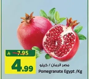 مصر الرمان
