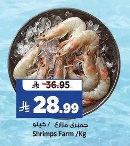 Shrimps Farm