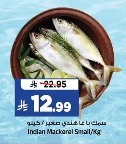 Indian Mackerel Small