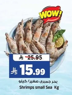 بحر جمبري صغير
