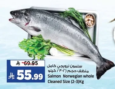 سلمون نرويجي كامل