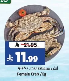 أنثى سرطان البحر