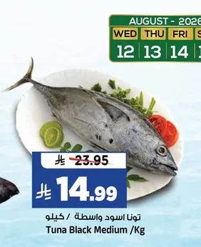 تونا اسود واسطة