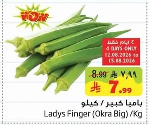 Ladys Finger (Okra Big)