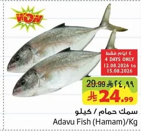 سمك حمام