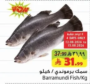 سمك برموندي