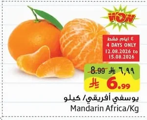 يوسفي أفريقي