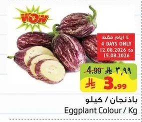 Eggplant Colour