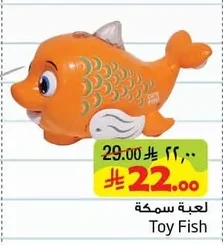 Toy Fish