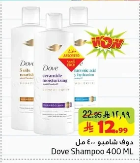 دوف شامبو