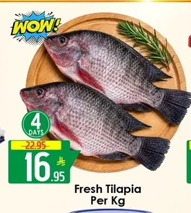 Fresh Tilapia Per Kg