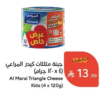Kids Triangle Cheese