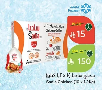 دجاج