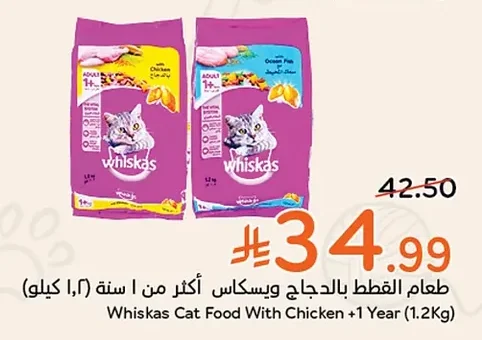 طعام القطط بالدجاج ويسكاس أكثر من ١ سنة