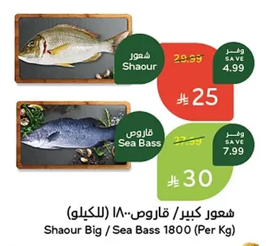 Shaour / Sea Bass