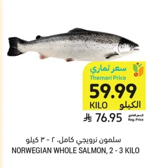 NORWEGIAN WHOLE SALMON, 2 - 3 KILO