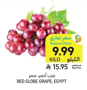 RED GLOBE GRAPE
