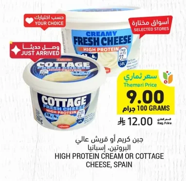 HIGH PROTEIN CREAM OR COTTAGE CHEESE, SPAIN