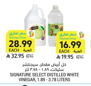 خل أبيض مقطر سيجنتشر سليكت