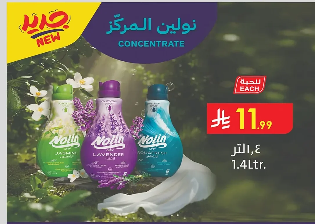 نولين المركز