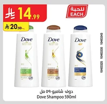 دوف شامبو