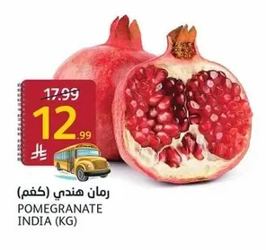 رمان هندي