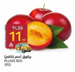PLUMS RED