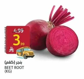 BEET ROOT