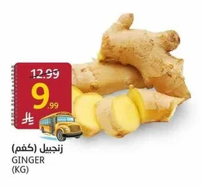 زنجبيل