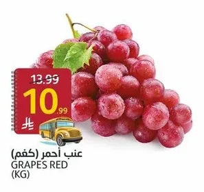 عنب أحمر