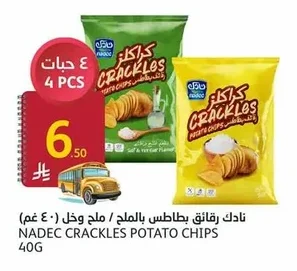 نادك رقائق بطاطس بالملح / ملح وخل (٤٠ غم)