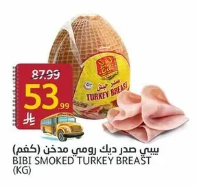بيبي صدر ديك رومي مدخن