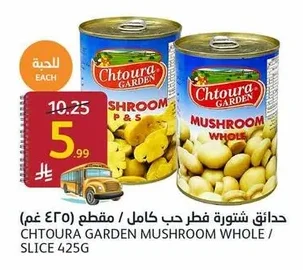 حدائق شتورة فطر حب كامل / مقطع (٤٢٥ غم)