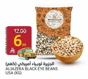 الجزيرة لوبياء أمريكي