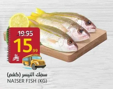 سمك النيسر