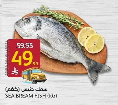 سمك دنيس