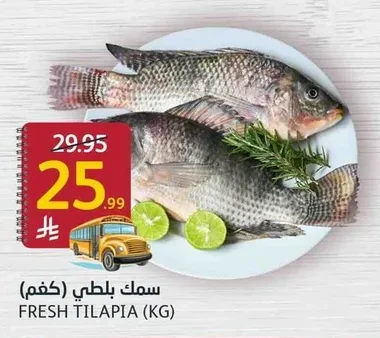 سمك بلطي
