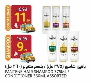 بانتين شامبو (٣٧٥ مل) / بلسم متنوع (٣٦٠ مل)