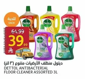 Antibacterial Floor Cleaner Assorted (3L)