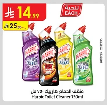 Toilet Cleaner