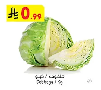 ملفوف