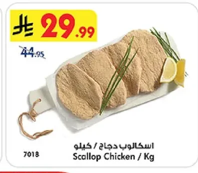اسكالوب دجاج
