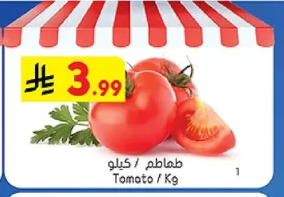 طماطم
