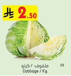 ملفوف